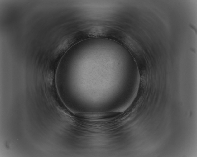 X0000092270458200709141204