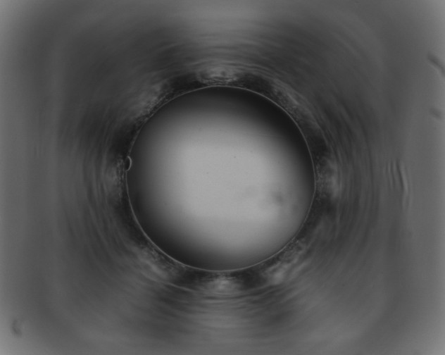 X0000092270460200709141204