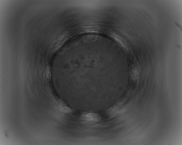X0000092270467200709141204