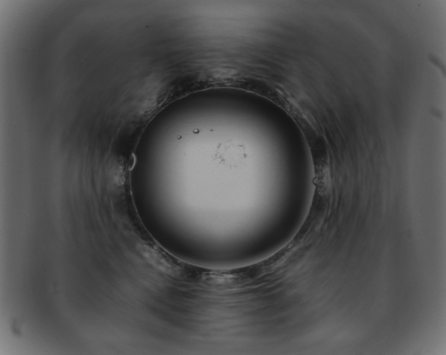 X0000092270472200709141204