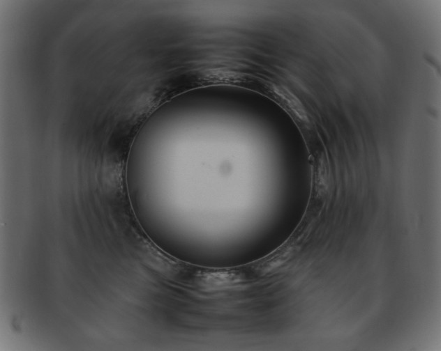X0000092270473200709141204