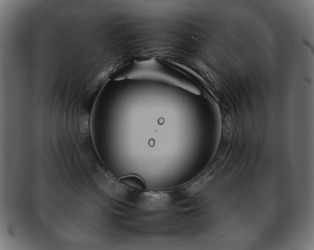 X0000092270477200709141205