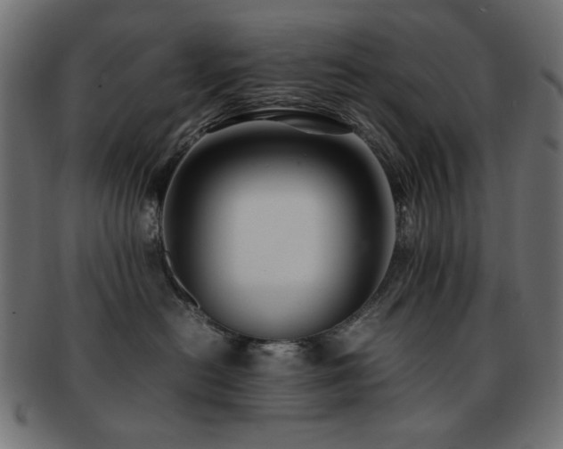 X0000092270478200709141205