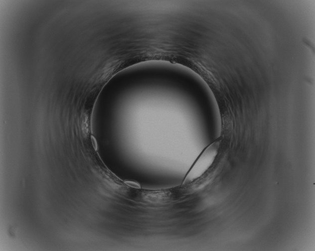 X0000092270479200709141205