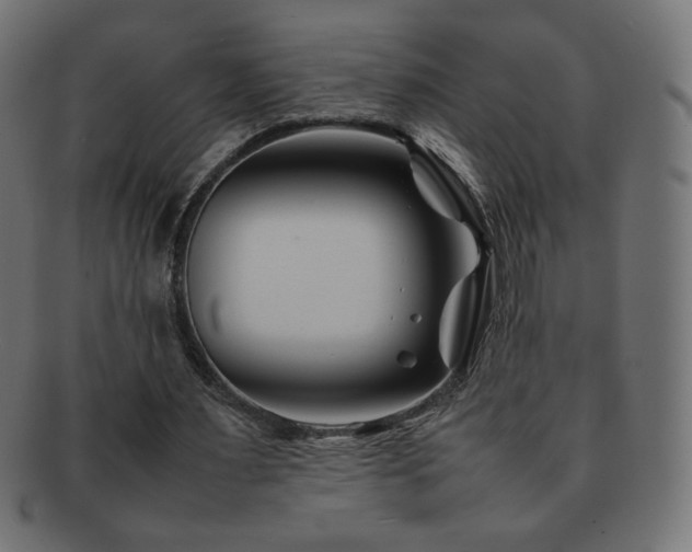 X0000092270483200709141204