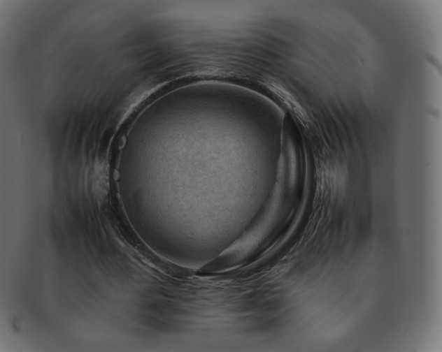 X0000092270484200709141204