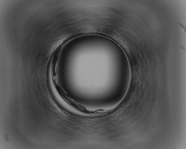 X0000092270485200709141204