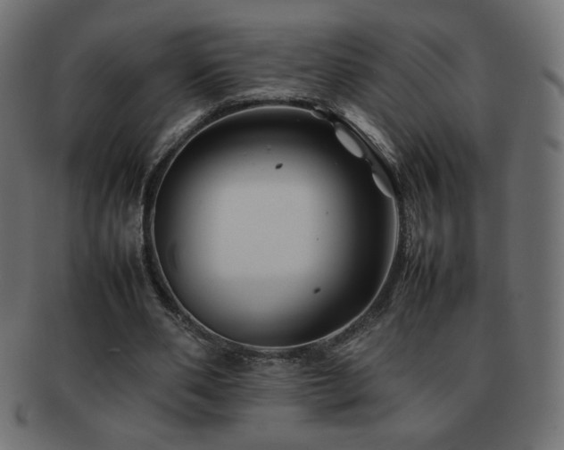 X0000092270486200709141204