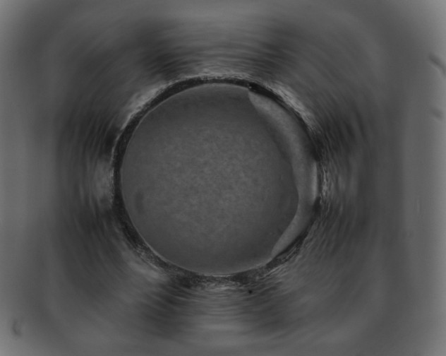 X0000092270488200709141204