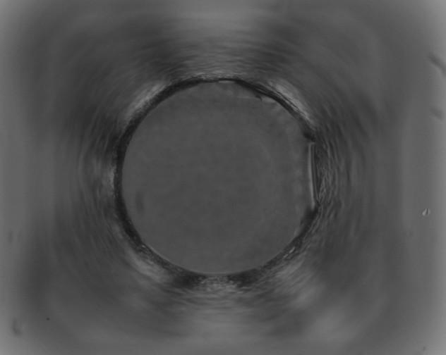 X0000092270491200709141204