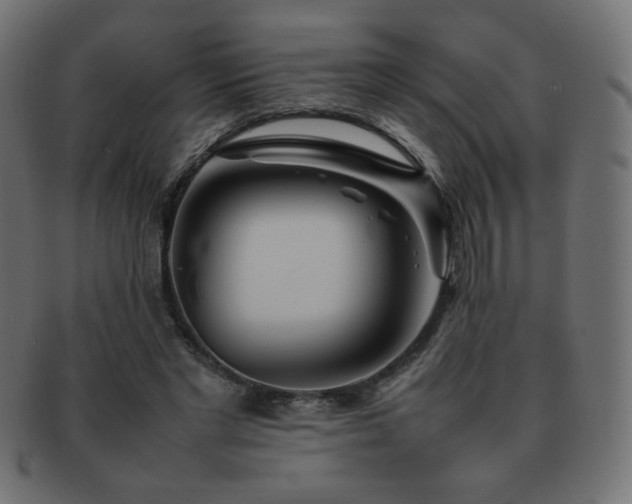 X0000092270493200709141204