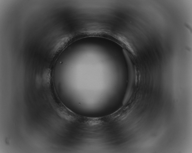 X0000092270495200709141204