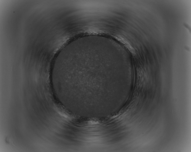 X0000092270496200709141204