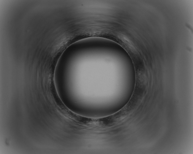X0000092270499200709141204