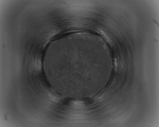X0000092270500200709141204