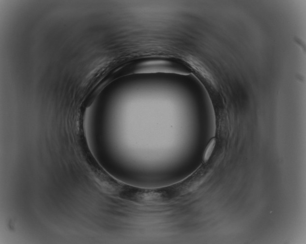 X0000092270501200709141204