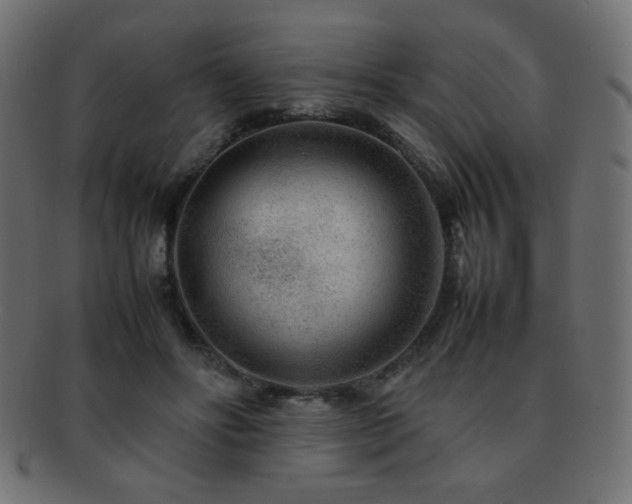 X0000092270502200709141204