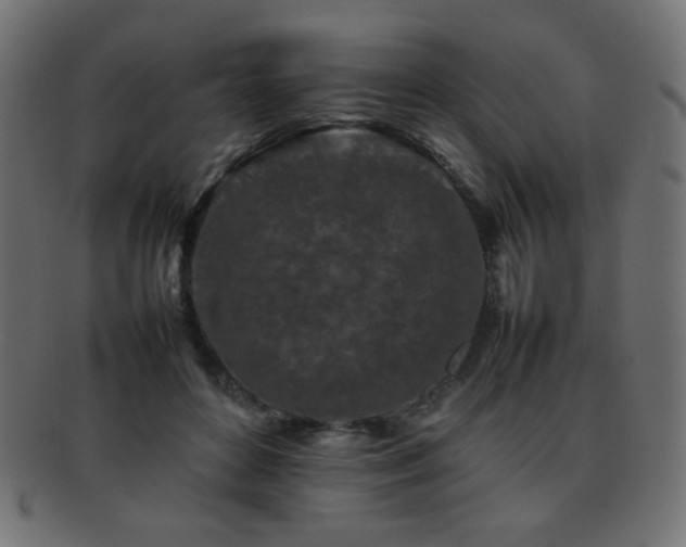 X0000092270504200709141204