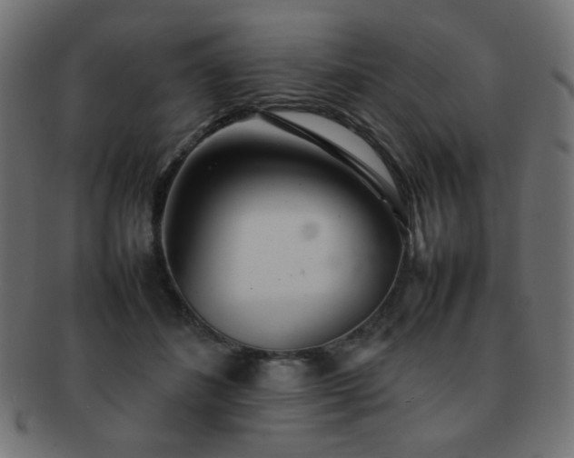X0000092270508200709141204