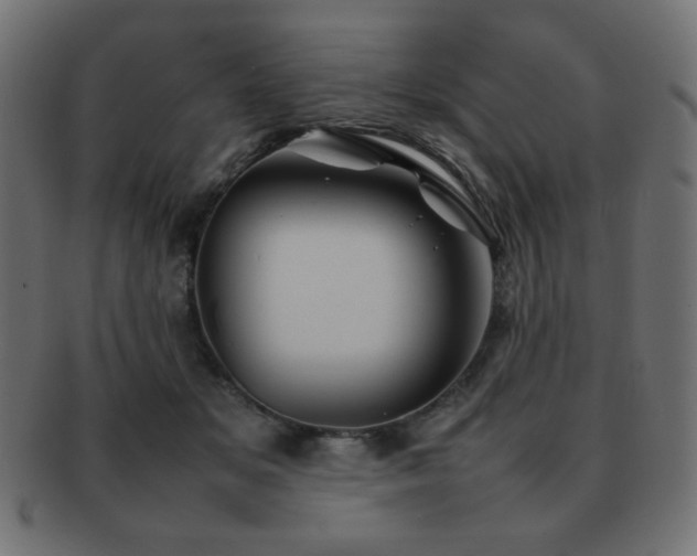 X0000092270509200709141204