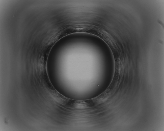 X0000092270510200709141204
