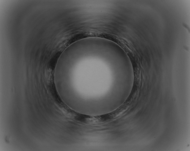 X0000092270511200709141204
