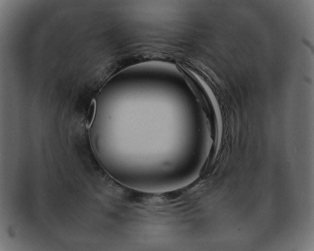 X0000092270513200709141204