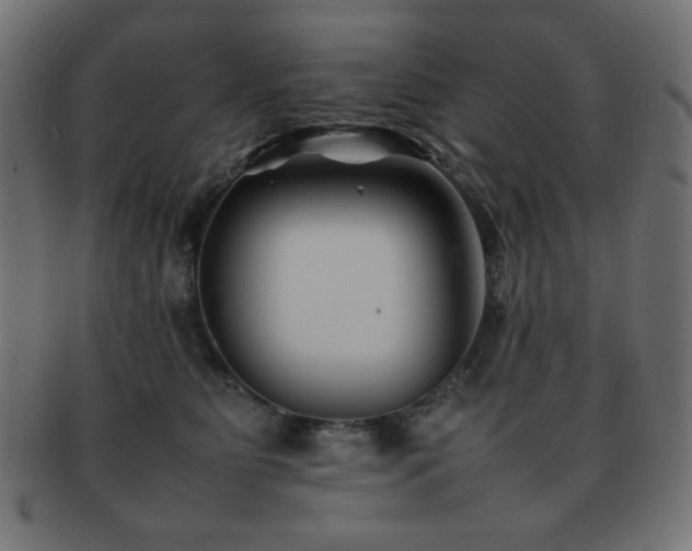 X0000092270515200709141204