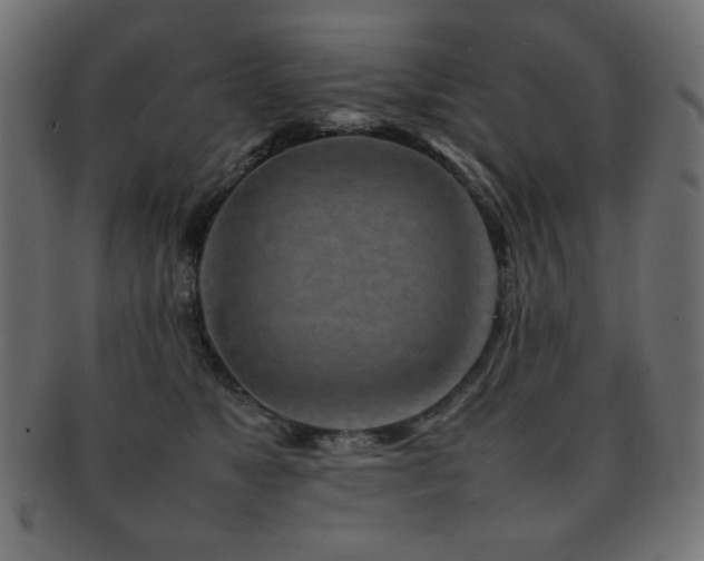 X0000092270517200709141204