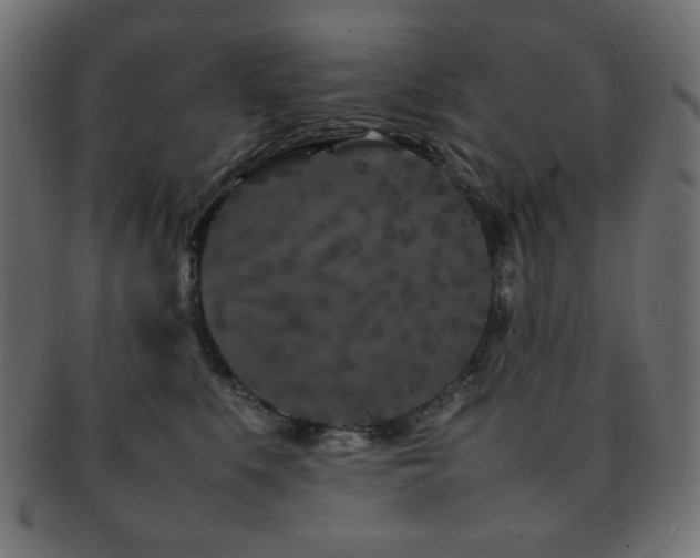 X0000092270519200709141204