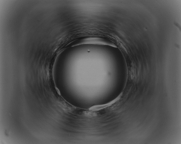 X0000092270520200709141204