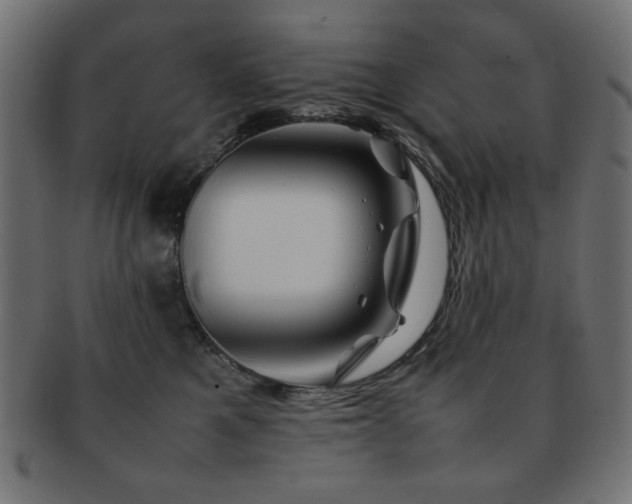 X0000092270521200709141204