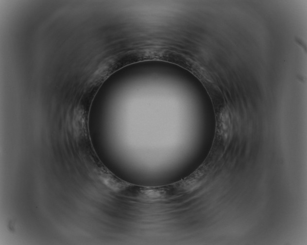 X0000092270522200709141204