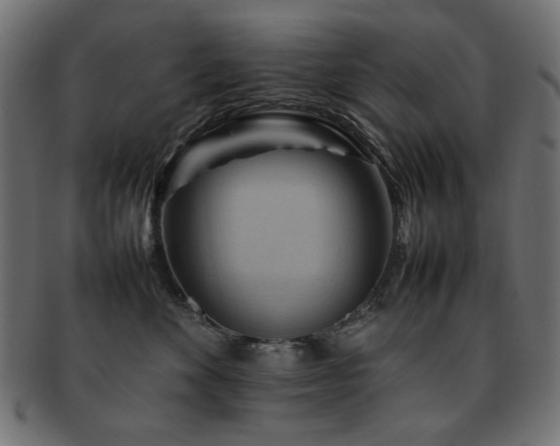 X0000092270524200709141204