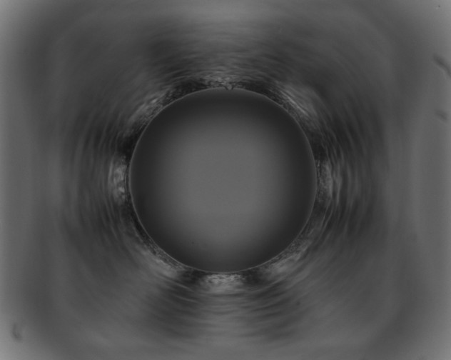 X0000092270526200709141203