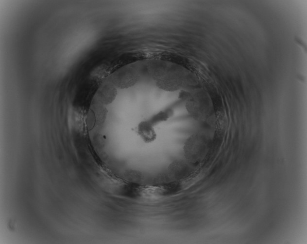 X0000092270527200709141203