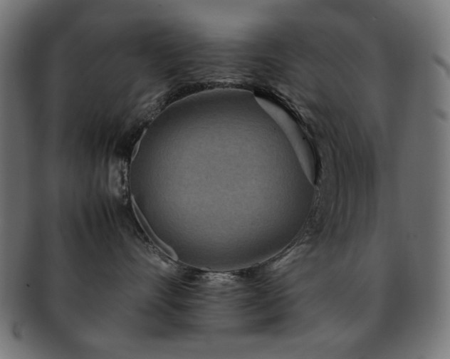 X0000092270528200709141203