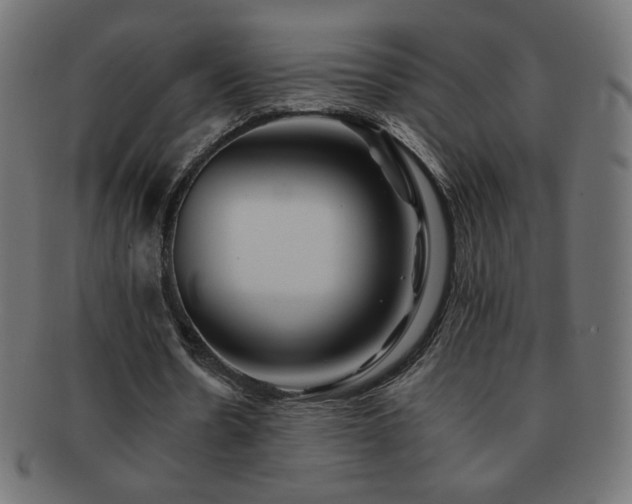 X0000092270530200709141203