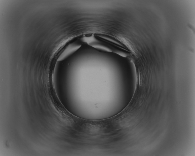 X0000092270531200709141203