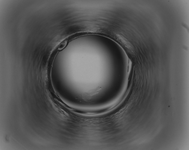 X0000092270532200709141203