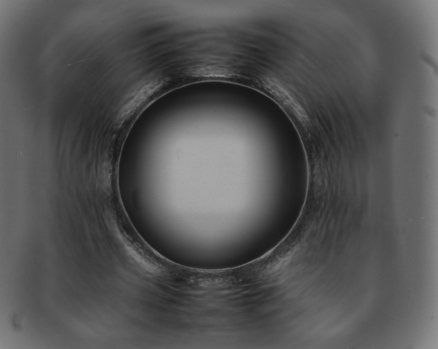 X0000092270533200709141203