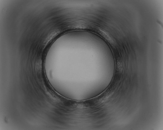 X0000092270534200709141203