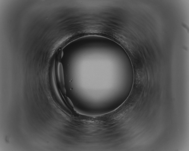 X0000092270535200709141203