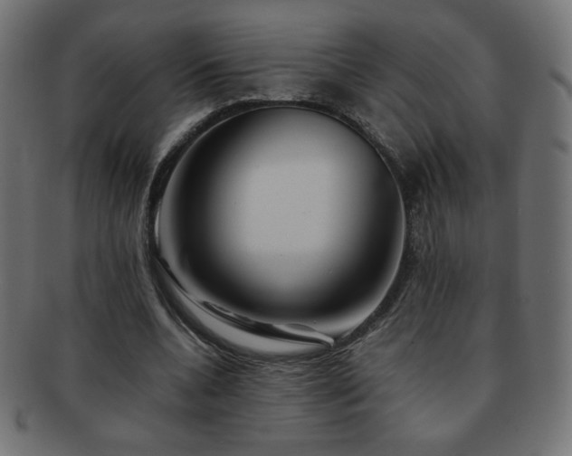X0000092270536200709141203