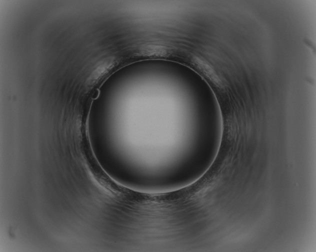 X0000092270538200709141203