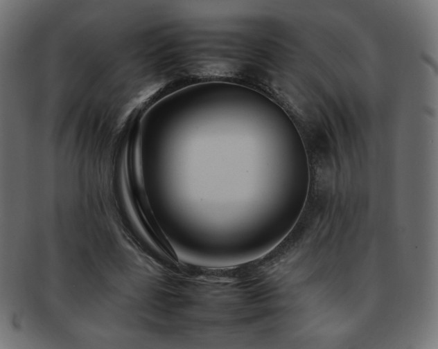 X0000092270539200709141203