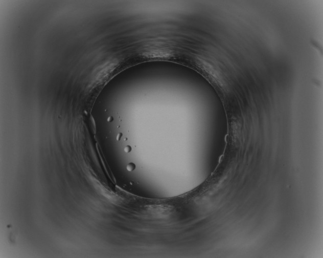 X0000092270541200709141203