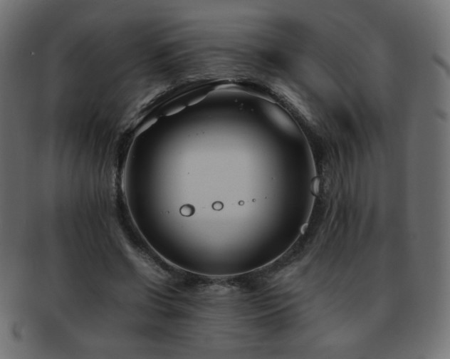 X0000092270542200709141203