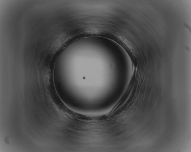 X0000092270544200709141203