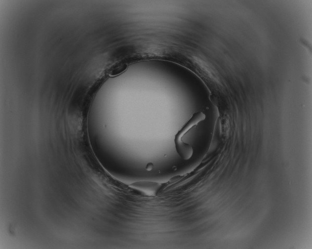 X0000092270548200709141203